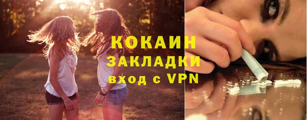 стафф Алзамай