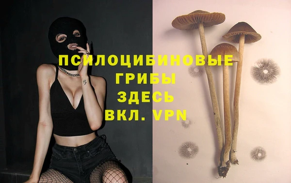 прущий лед Алексеевка