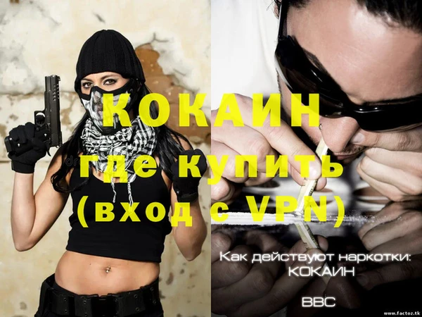 стафф Алзамай