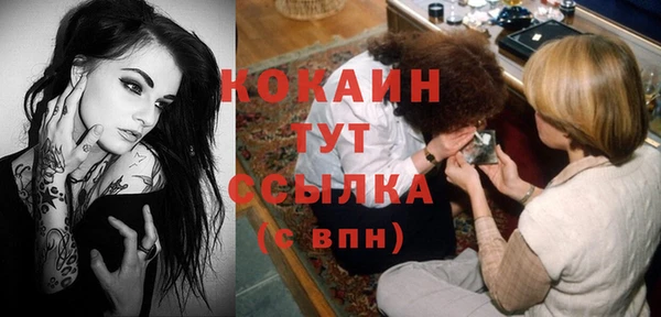 стафф Алзамай
