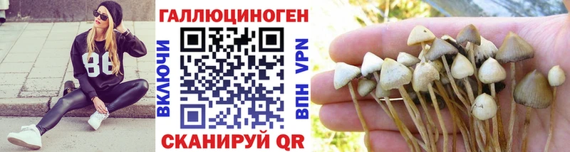 Псилоцибиновые грибы Magic Shrooms  Жуковка 